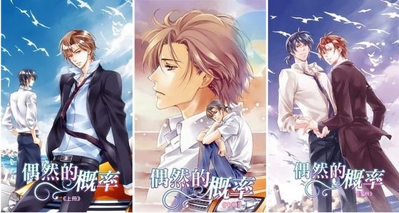 偶然的概率（出书版）